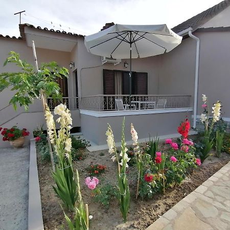 Villa Nikolaou 帕尔加 外观 照片