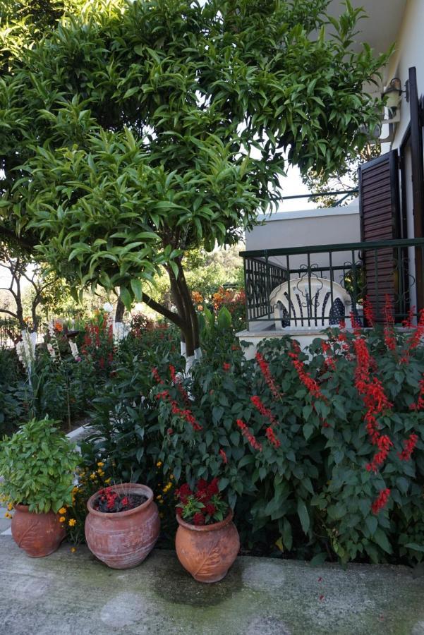 Villa Nikolaou 帕尔加 外观 照片