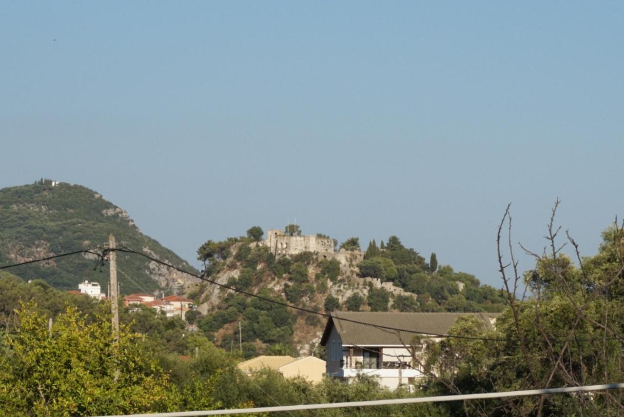 Villa Nikolaou 帕尔加 外观 照片