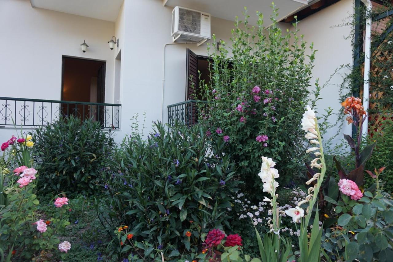 Villa Nikolaou 帕尔加 外观 照片