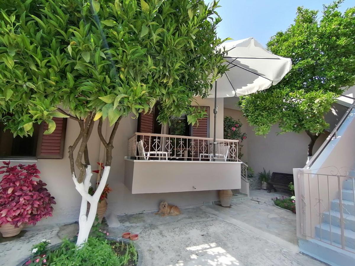 Villa Nikolaou 帕尔加 外观 照片