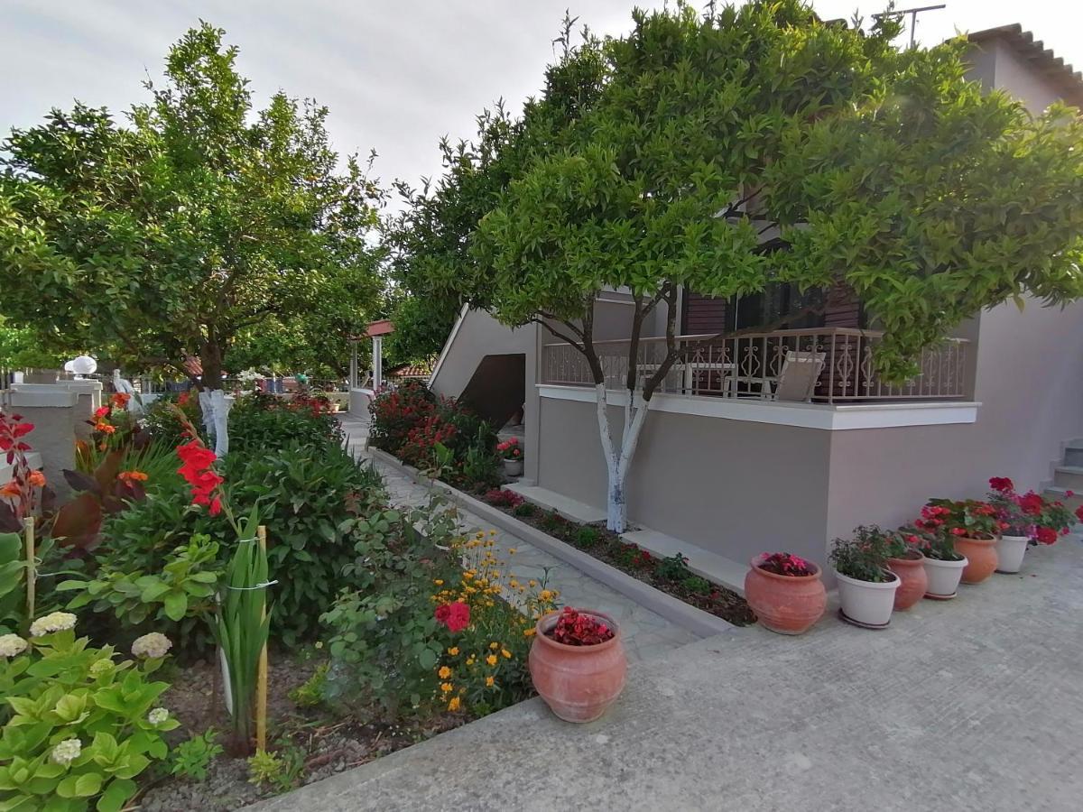 Villa Nikolaou 帕尔加 外观 照片
