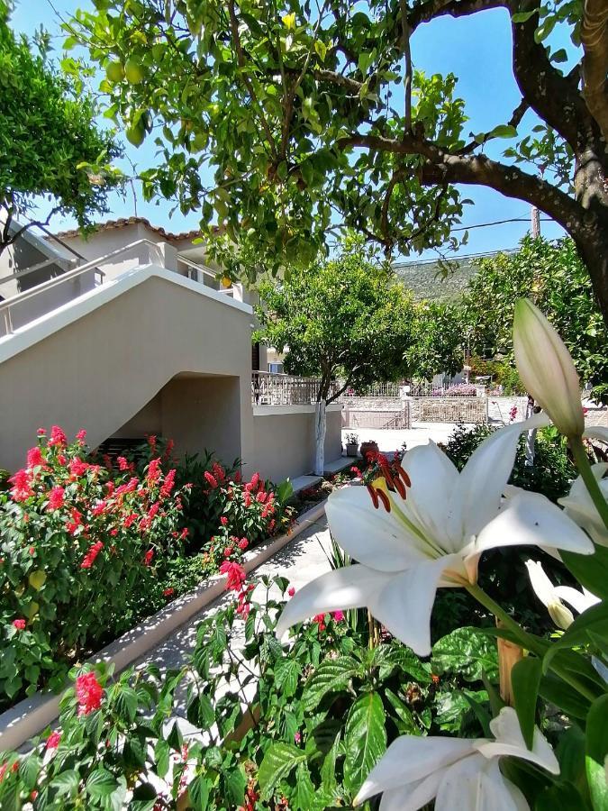 Villa Nikolaou 帕尔加 外观 照片